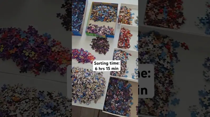 Day 2 of the 9000 Piece Puzzle 🧩 The sorting never ends 😭